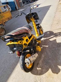 فراشة • بيها مجال • قضاء المدينه باهله