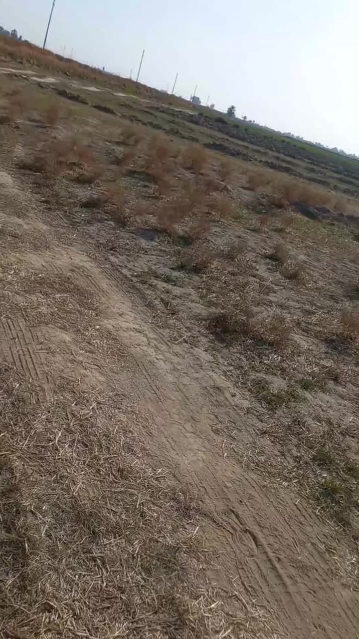 كاع للبيع طابو زراعي ١٠ دونم سند٢٥ ثريمه مقابيل العمارات السكنيه ماء كهرباء وشراي بيه خير ويدلل تصال ***********
