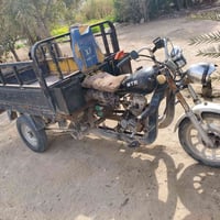 ستوته • امتيار كلك • شاصيه مكفول