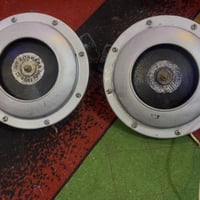 هورنات هندي • للبيع