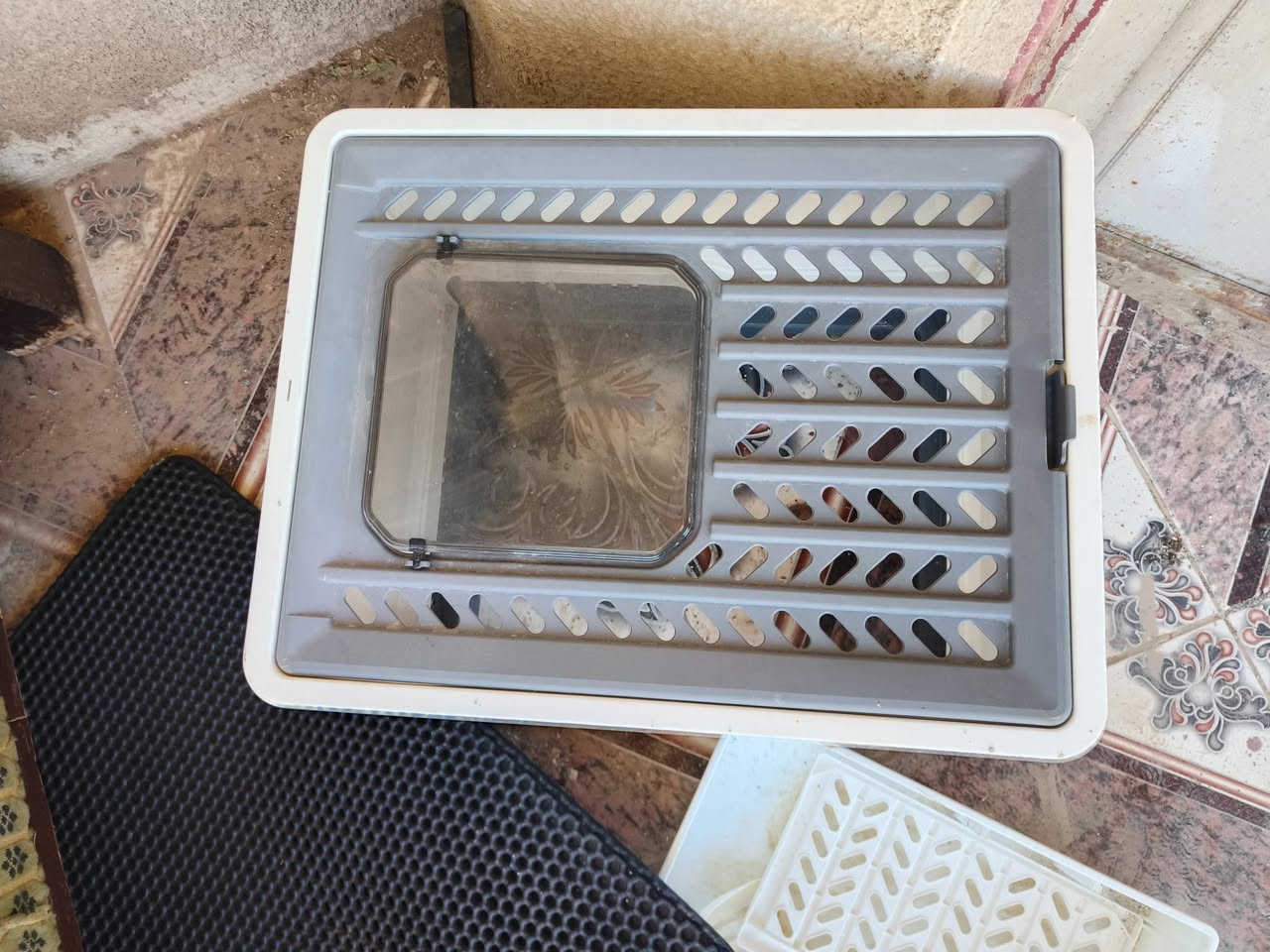 مستزلمات قطط كلهن ب30


**إذا كنت صاحب هذا الإعلان وتريد حذفه لأي سبب، رجاءا أرسل رسالة إلى الدعم الفني**