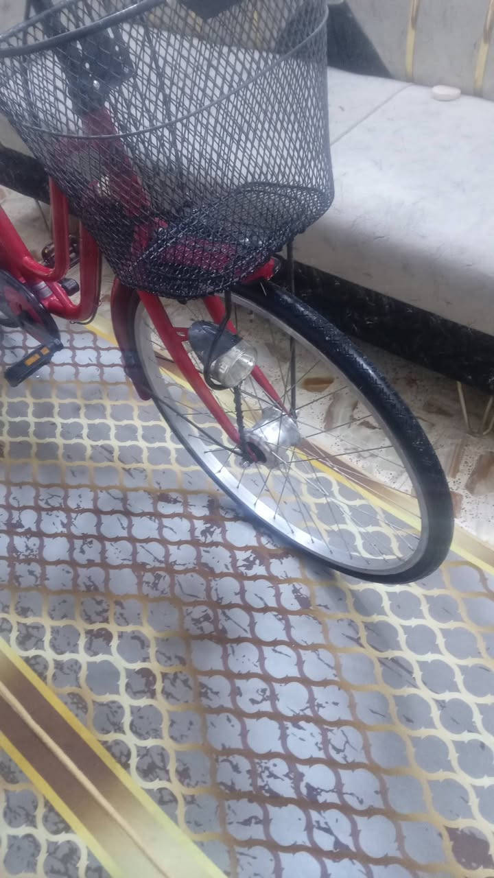 السلام عليكم باسكل بناتي حجم 26 نضيف كامل  حساس دينمو  شغال سعره 110 وبي مجال الشراي 
مكاني بغداد مدينة الصدر 
***********
