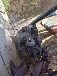 07737576310