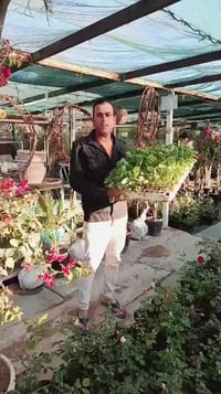 نباتات • مستلزمات حدائق • كوت المزاك