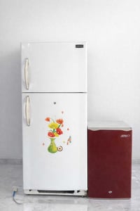 كونكورد لبناني • حجم عملاق • الشطرة