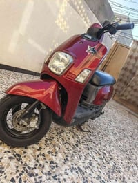 بواليس • نوزال • مامفتوح