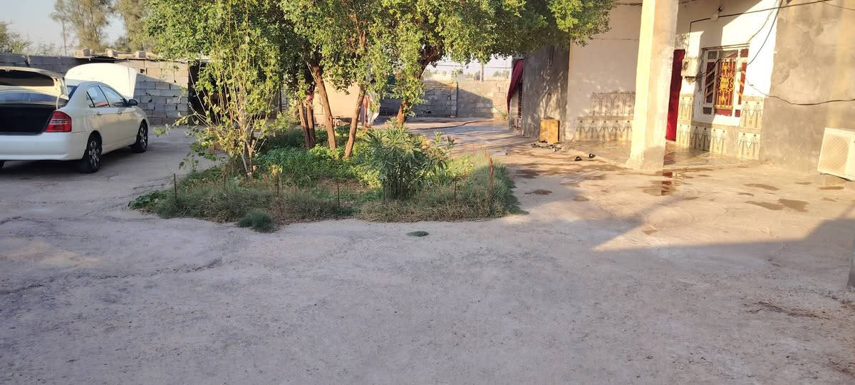 بيت للبيع مساحه 400متر ماء كهرباء تبليط قرب مدرسه الخليج العربي للأستفسار اتصل هنا ***********
