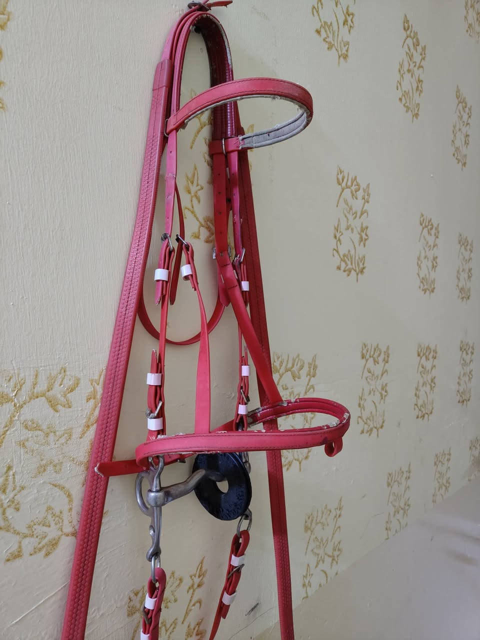 سرج خفيف واجام اصليات السعر 100 ألف يوجد توصيل لجميع المحافظات 5الف
‏‪0774 257 2497‬‏
