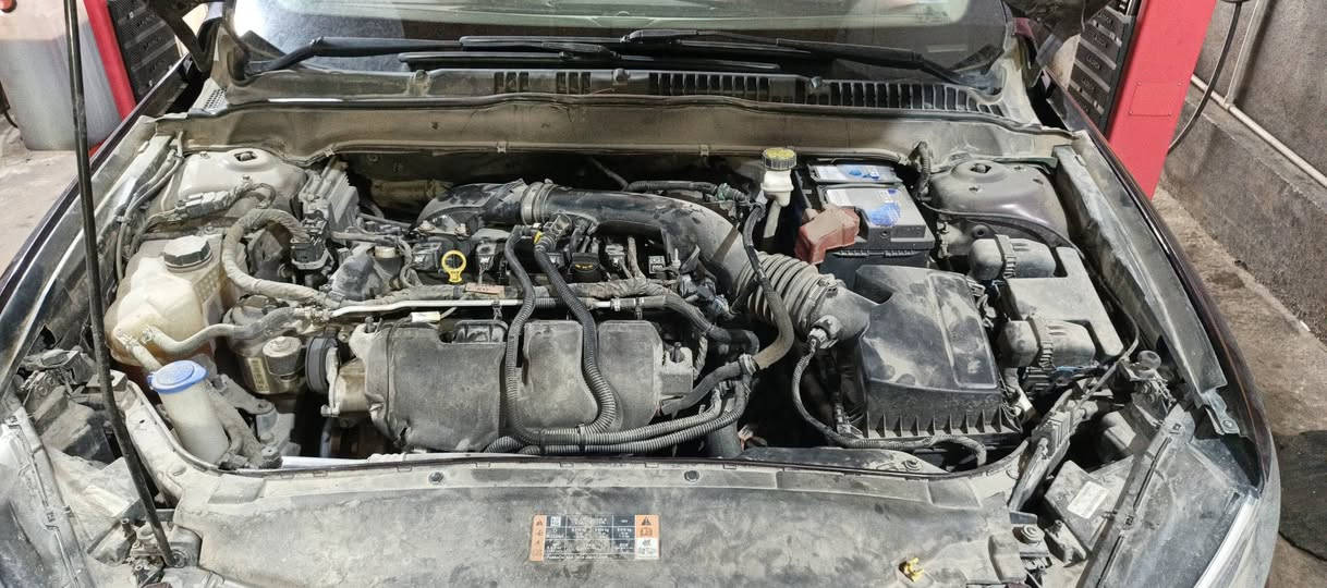 من الموصل الحبيبة نورنة ستاذ ذاكر آل سعاوي 
صيانة عامة  ford fusion 2018 2.0
العنوان السليمانية حي الصناعي  مقابل الهزة عمر وعثمان
***********
