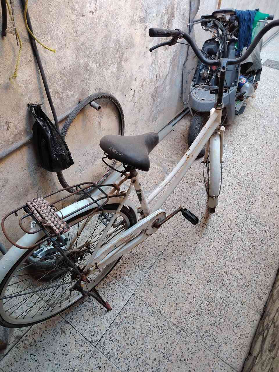 باسكل للبيع حجم 26 نضافة كدام عينك
سعر 45 قفل قفل


**إذا كنت صاحب هذا الإعلان وتريد حذفه لأي سبب، رجاءا أرسل رسالة إلى الدعم الفني**