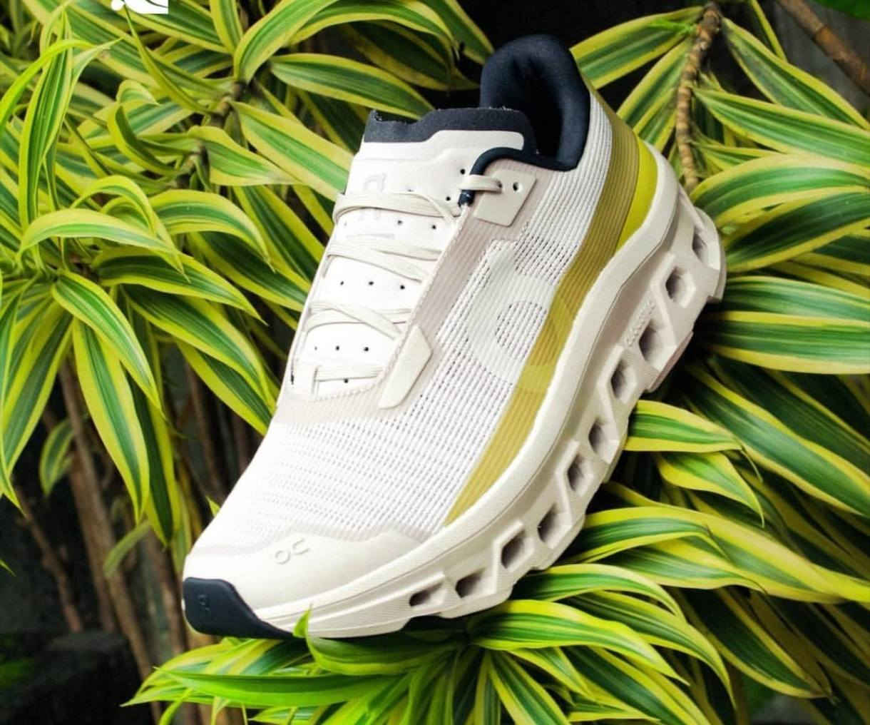 On CloudMonster Running Void 
أون كلاود مونستر اورجنال 
وكالة غير مستخدم 
لايك وتعليق عالمنشور بيصلك تفاصيل


**إذا كنت صاحب هذا الإعلان وتريد حذفه لأي سبب، رجاءا أرسل رسالة إلى الدعم الفني**