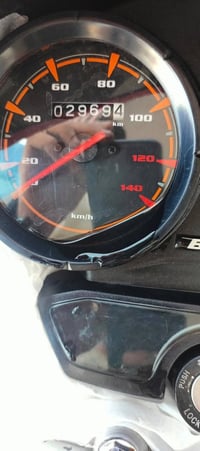 بوكسر • جبلي • ٢٠٢٣