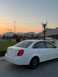 ارم بلاستيك • 2012 • رانية