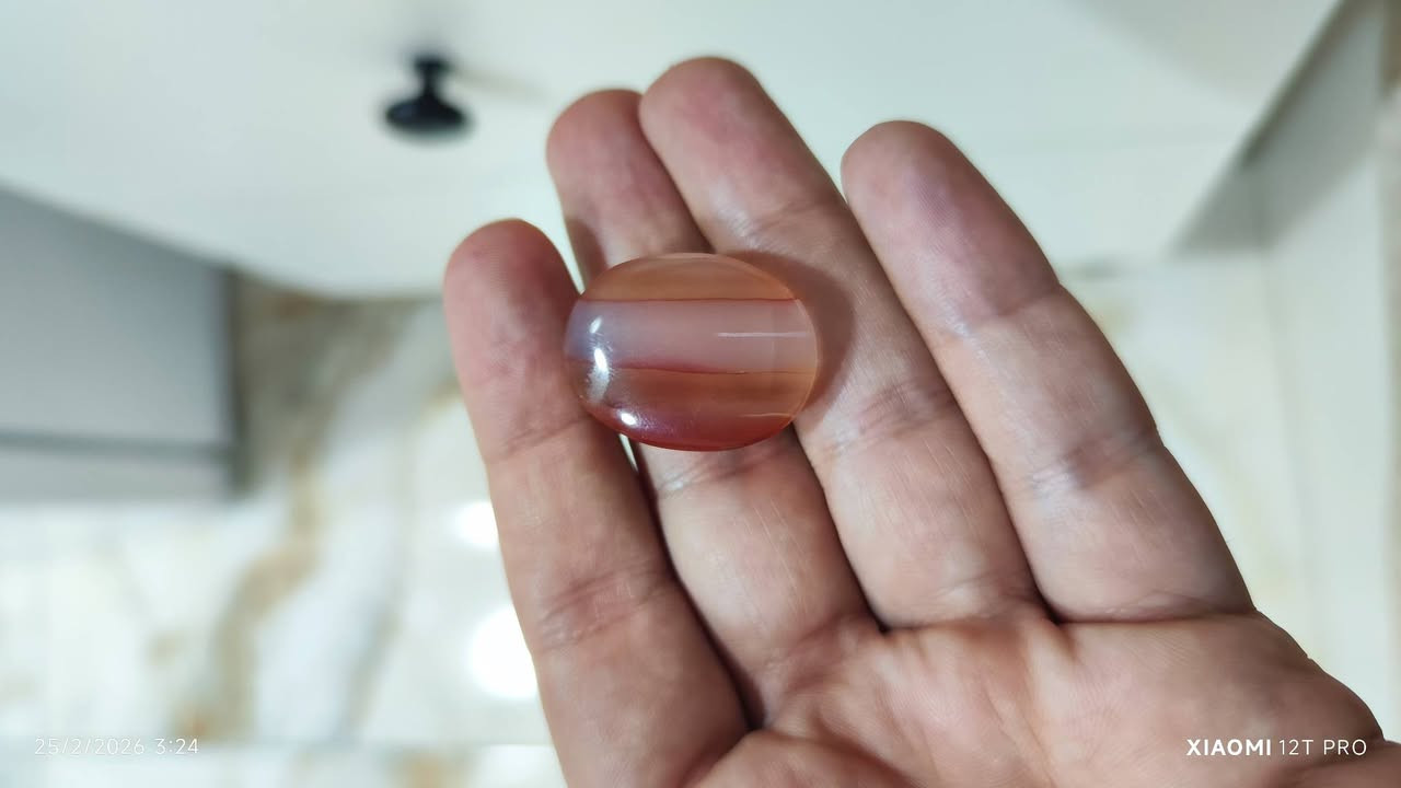 يمانية اكثر من 3سم السعر 30


**إذا كنت صاحب هذا الإعلان وتريد حذفه لأي سبب، رجاءا أرسل رسالة إلى الدعم الفني**