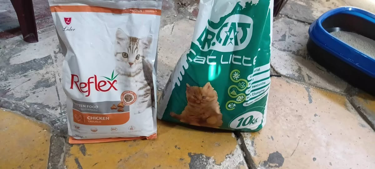 سعر ١٠٠ و بيه مجال نظيفه وياه  بيت و رمل و اكل
تواصل ع خاص


**إذا كنت صاحب هذا الإعلان وتريد حذفه لأي سبب، رجاءا أرسل رسالة إلى الدعم الفني**