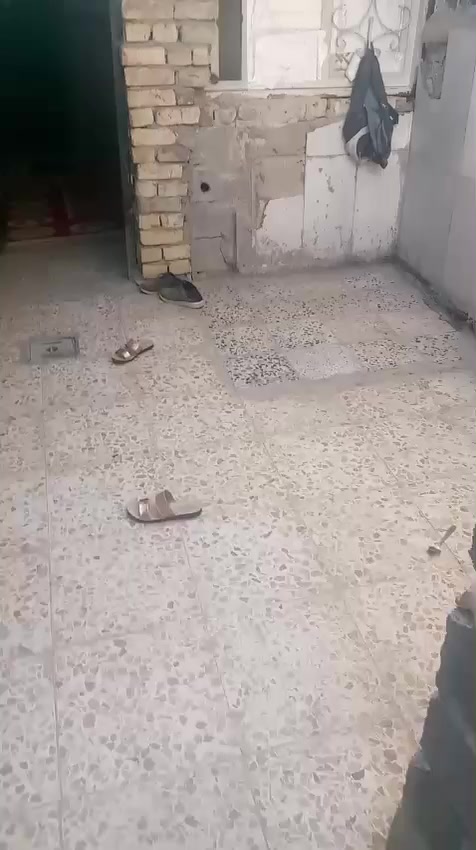 ‏‪***********‬‏
