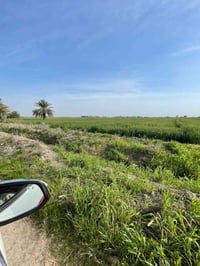 تتوفر عدنا دوانم  تصلح للاستثمار او المزارع  بمساحات متعدده وواجهات وا...