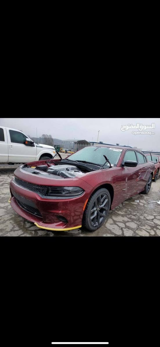 السعر ممتاز اتصل ع الواتس اب
𝗗𝗢𝗗𝗚𝗘 𝗖𝗛𝗔𝗥𝗚𝗘𝗥
 🔥RT / black toop / 

نوع السيارة: [ دودج جارجر ] 
الموديل: [ 2022 ] 
المحرك: [ V8 - 5700 ]]
ماشيه : [ 12,300 الف ميل بعدها بحالة الوكالة ]
لون السيارة : [ كرزي]

[ الـــــمـــواصــفـــــات فول ]

- - [ كشنات كنتارا حضن ] 
- - كشنات تدفئة + تبريد 
 - - كشن خلفي تدفئة
- - كشنات خزن ميموري
- - شاشة كبيرة كار بلي 
- - كاميرا
- - تشغيل عن بعد 
- - ويل 20 روهانا
- -  سستم صوت هارمن كاردن
- -  شفتات ستيرن 
- - نظام سوبر تراك باك
- - حساس خلفي 
- - رادار جانبي [ نقطة عمياء ] 
- - ستيرن كهرباء + تدفئة
- دشبول خياط الجديد 
-هيتر مري جانبية 
-تغليف ppf السيارة بالكامل
-عازل حراري لزجاج السيارة

الحادث ( كما موضح بالصور  مكفولة من البارد و الحار )

مكان سيارة بغداد 

للتواصل واتس اب او اتصال : [‏ *********** ]
