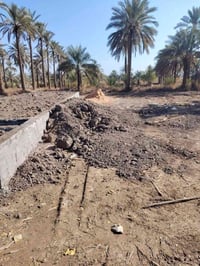 اخوان نص قطعة للبيع زراعي قرب نبيل الجنابي السعر 8مليون 07813062279