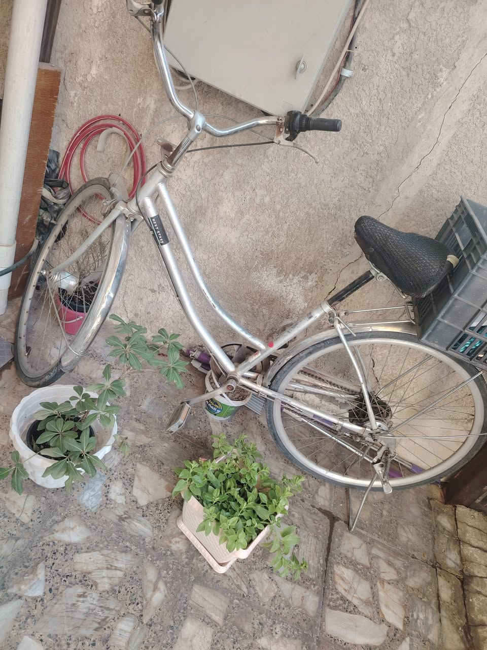 للبيع.....
كنتور صاج ٦ ابواب ب١٥٠
بايسكل كلش نظيف ب٩٠
وبيهن مجال للشراي


**إذا كنت صاحب هذا الإعلان وتريد حذفه لأي سبب، رجاءا أرسل رسالة إلى الدعم الفني**
