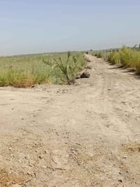 كربلاء طويريج • ١٠ دونم • طابو زراعي