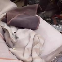 كرستا • ١٩٩١ • سبع البور