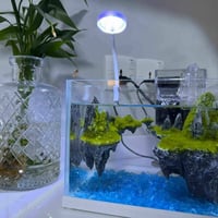 حوض YEE • زجاج الترا كلير • انارة LED