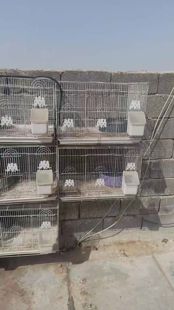 سلام عليكم شباب خانات البيع كاملات زوج اب ٤٠ بيهن مجال  0771130327


**إذا كنت صاحب هذا الإعلان وتريد حذفه لأي سبب، رجاءا أرسل رسالة إلى الدعم الفني**