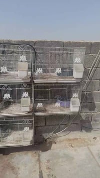 خانات بيع • كاملات • فيهن مجال