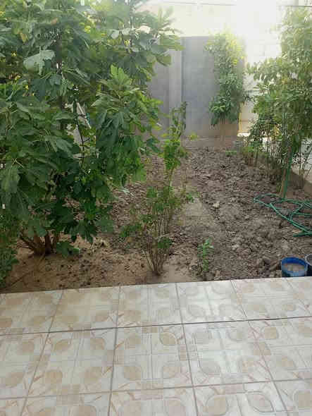 يالله 

بيت للبيع
طابووزراعي بصفة عرصة مدفونة ومسيجة وبيه محل 250متر والبيت 200متر البيت بناء حديث غرفتين وصالة واستقبال معزول ومطبخ وطارمة وحديقة بناء طابوق تسليح وصب فوك وجوه 
حي الزهراء الزراعي خلف مشروع المي
 صاحب البيت ‪0780 030 7019‬‏

مكلفة بالنشر....
