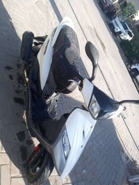 ثعلب • جديد • ضمان