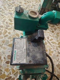 ماتور ماء • خنزيرة • عدد ٢