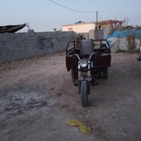 ستوته • محرك جديد • بدون أوراق