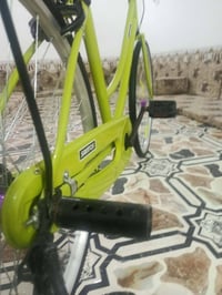 باسكل • نضيف • كماليات موجودة