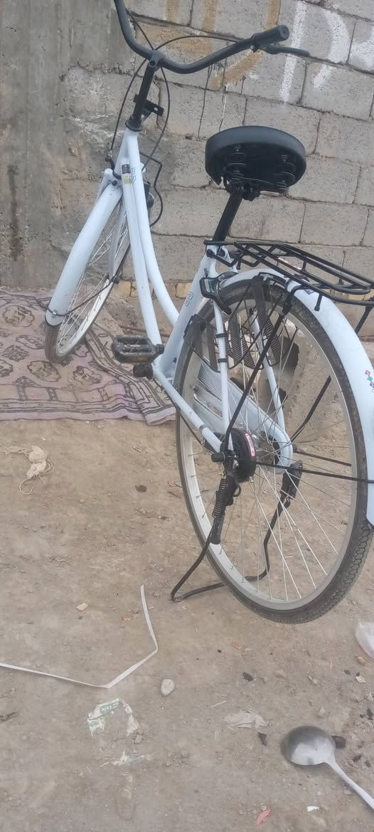 سلام عليكم بايسكل للبيع بيدي موديل2022 سعر خاص مكان ناصريه مركز


**إذا كنت صاحب هذا الإعلان وتريد حذفه لأي سبب، رجاءا أرسل رسالة إلى الدعم الفني**