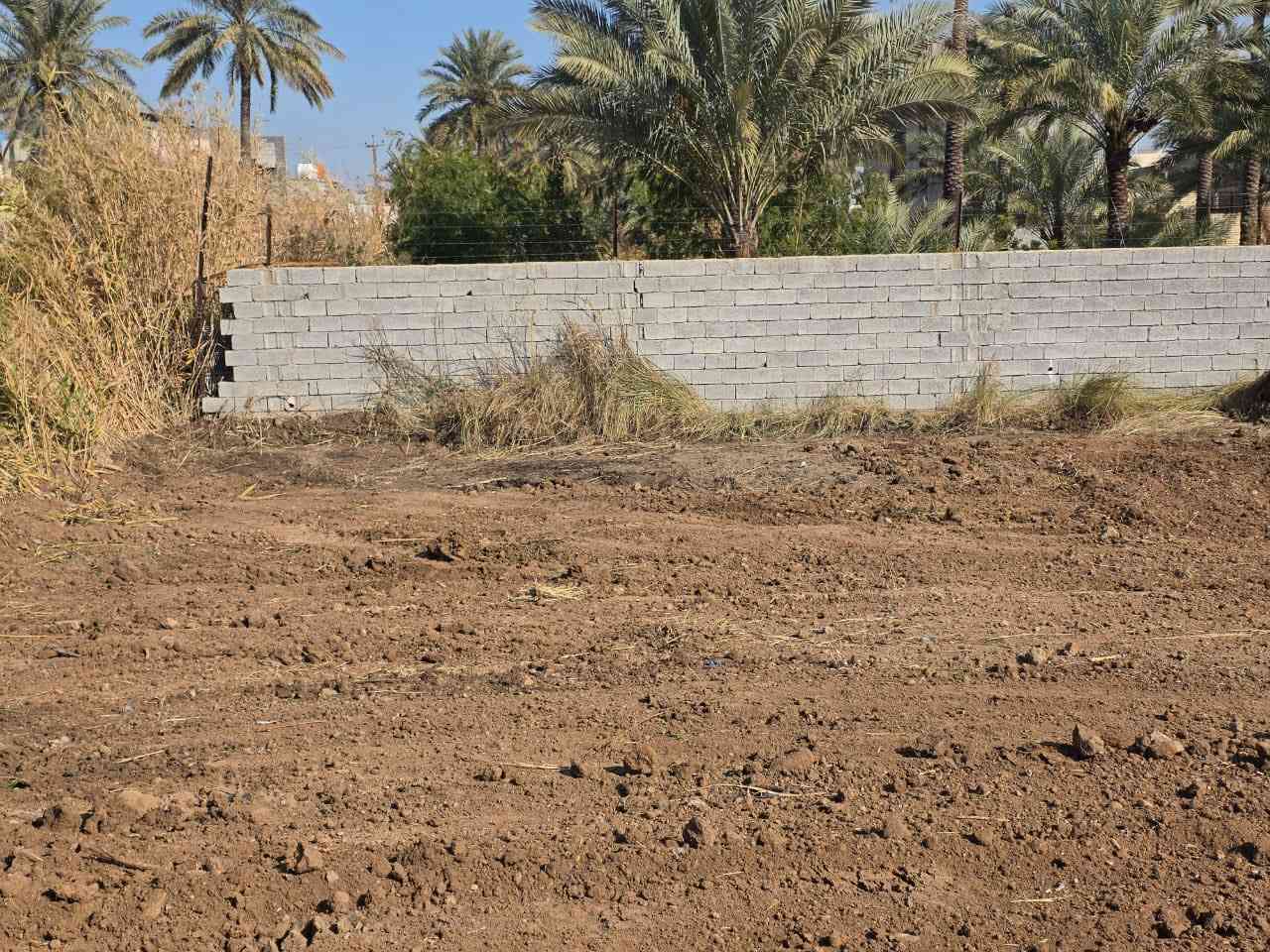 قطعه ارض للبيع
العنوان بعقوبه شفته خلف قاعه بيانو دخل اسماك زوزو 
المساحه 150م واجه 10م نزال 15م 
للاستفسار الاتصال على الرقم 
***********
