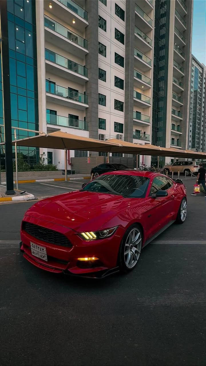 موستانك 2017  ستة سلندر 3700
للبيع رقم اربيل تحويل مباشر 

ماشيه 85 ميل

ببدون ايرباك

بدون لغد وشواصي 

كير محرك كهربائيات كله بحاله شركة 

سياره مال جناي بدون اي تزويد 

حجر بيئه بلادي 

عليه ادامة كامله بلاكات نوزلات كامل وياله جدد هم

حادث امريكا مرفوق بصور 

بيه ب عراق رصعتين ب باب فقط و ركن بنيد شخط ع كد شبر مصيوغ ع كده 

كلشي موضح بمنشور  

سياره بلواقع احلى وبلعافيه ع ياخذة 

مكاني اليرموك 

السعر ١٥٦ ورقه وبيها مجال بسيط 

***********
