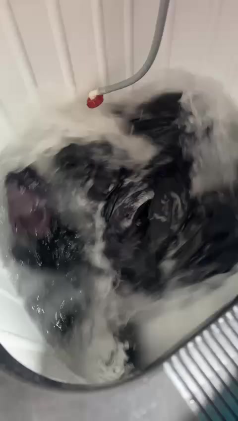 السلام عليكم غساله للبيع ب 150 و بيه مجال للشراي 
ضرر فقط الغسيل يدور بأتجاه واحد


**إذا كنت صاحب هذا الإعلان وتريد حذفه لأي سبب، رجاءا أرسل رسالة إلى الدعم الفني**