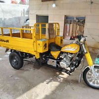 ستوته • البصرة • الزبير