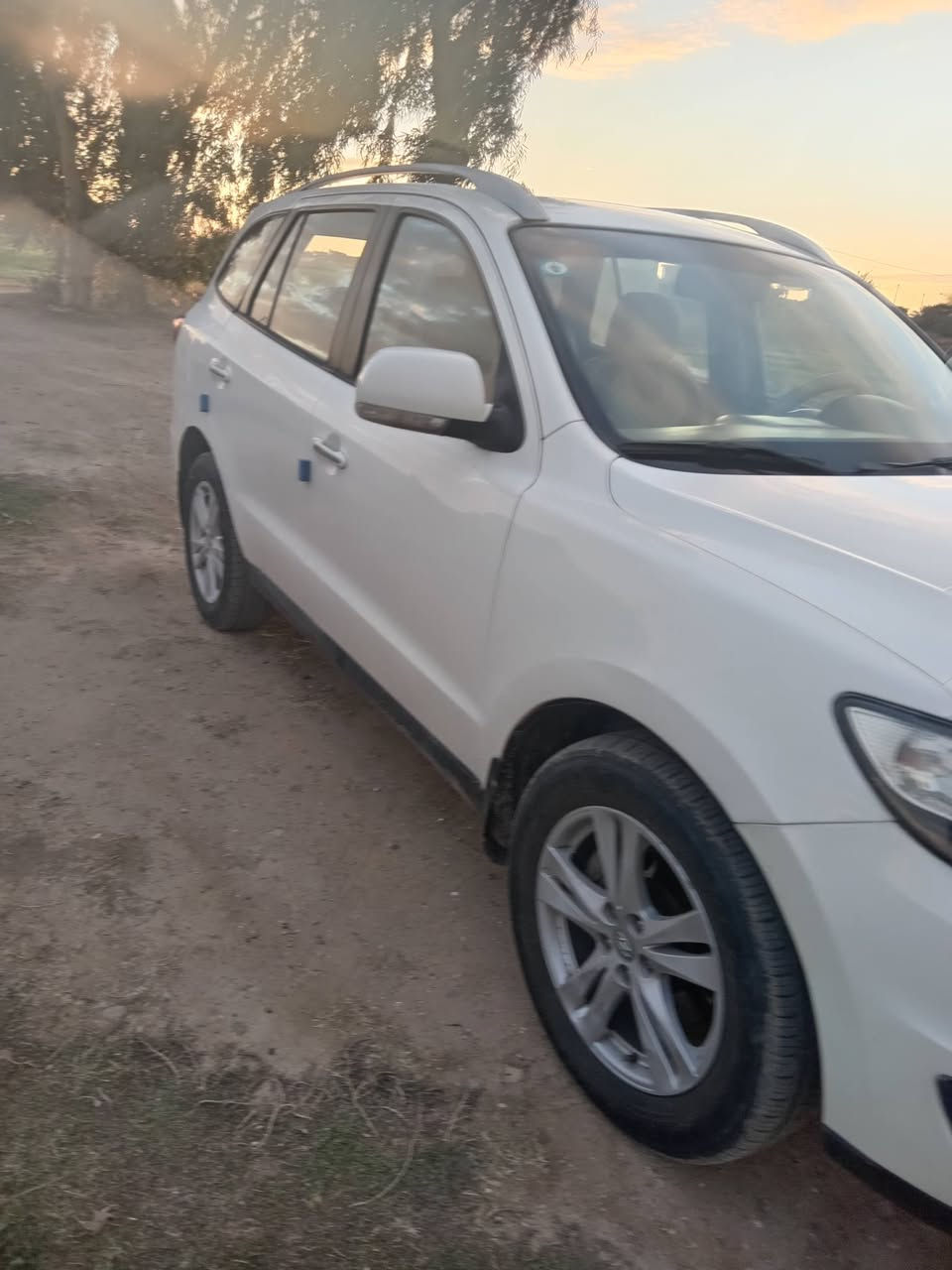 سنتافي ١٢ خليجي البيع ٧راكب مكفول من صبغ من ضربه ***********
