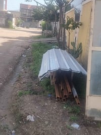 جينكو • بوري مربع • الصقلاويه شهداء الثانيه