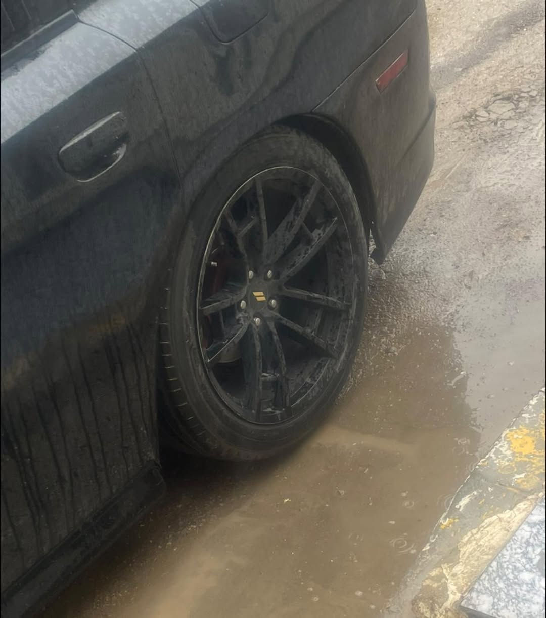 للبيع او مراوس بويل srt  العندي  زوج ***********
