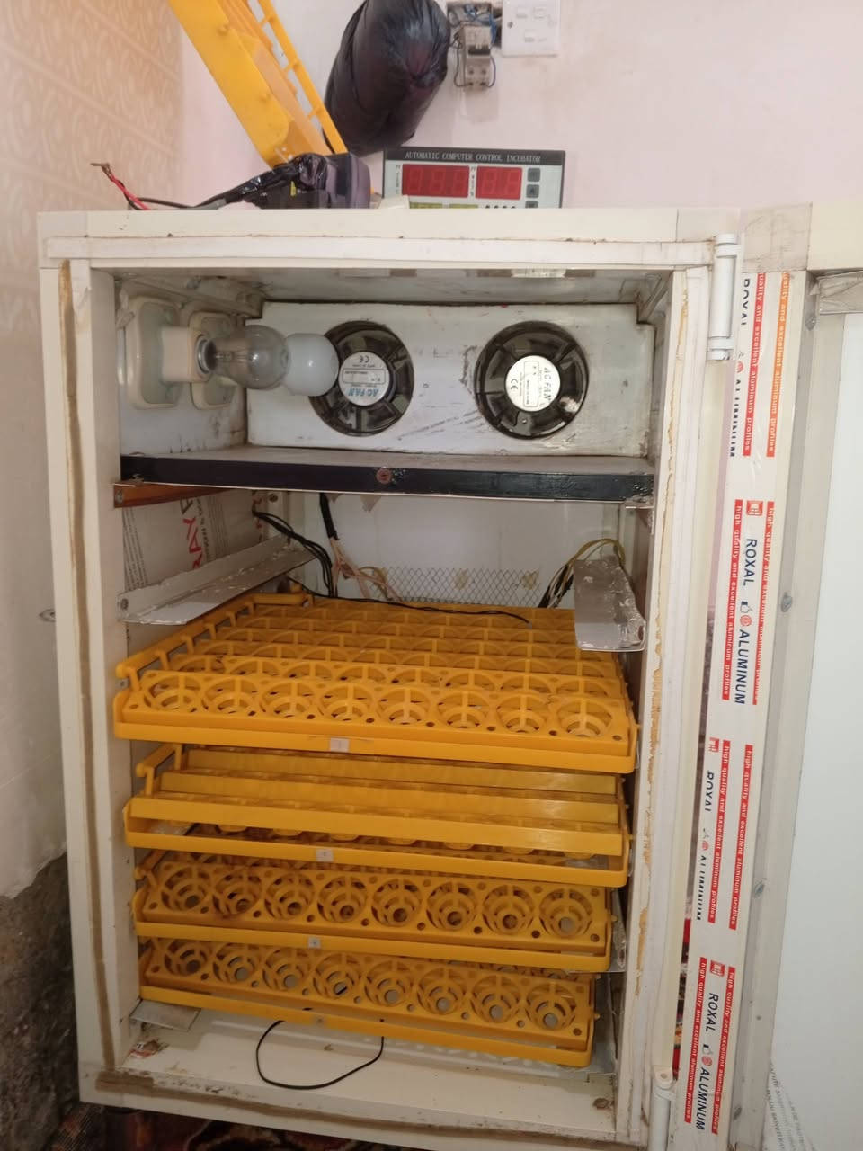 السلام عليكم ورحمه الله وبركاته يوجد فقاسة بيض للبيع للاستفسار الاتصال على صاحبه
***********
