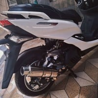 ماجسته S • ٢٠١٨ • كارتون