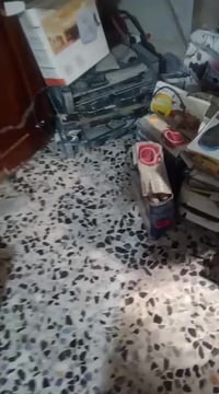 شلعة فحم • حمل كيتين • العبيدي بغداد