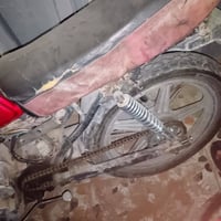 فيوم • اصولية • شغالة