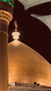 النجف الاشرف • ٧/١٠ • زيارة مرقد الإمام