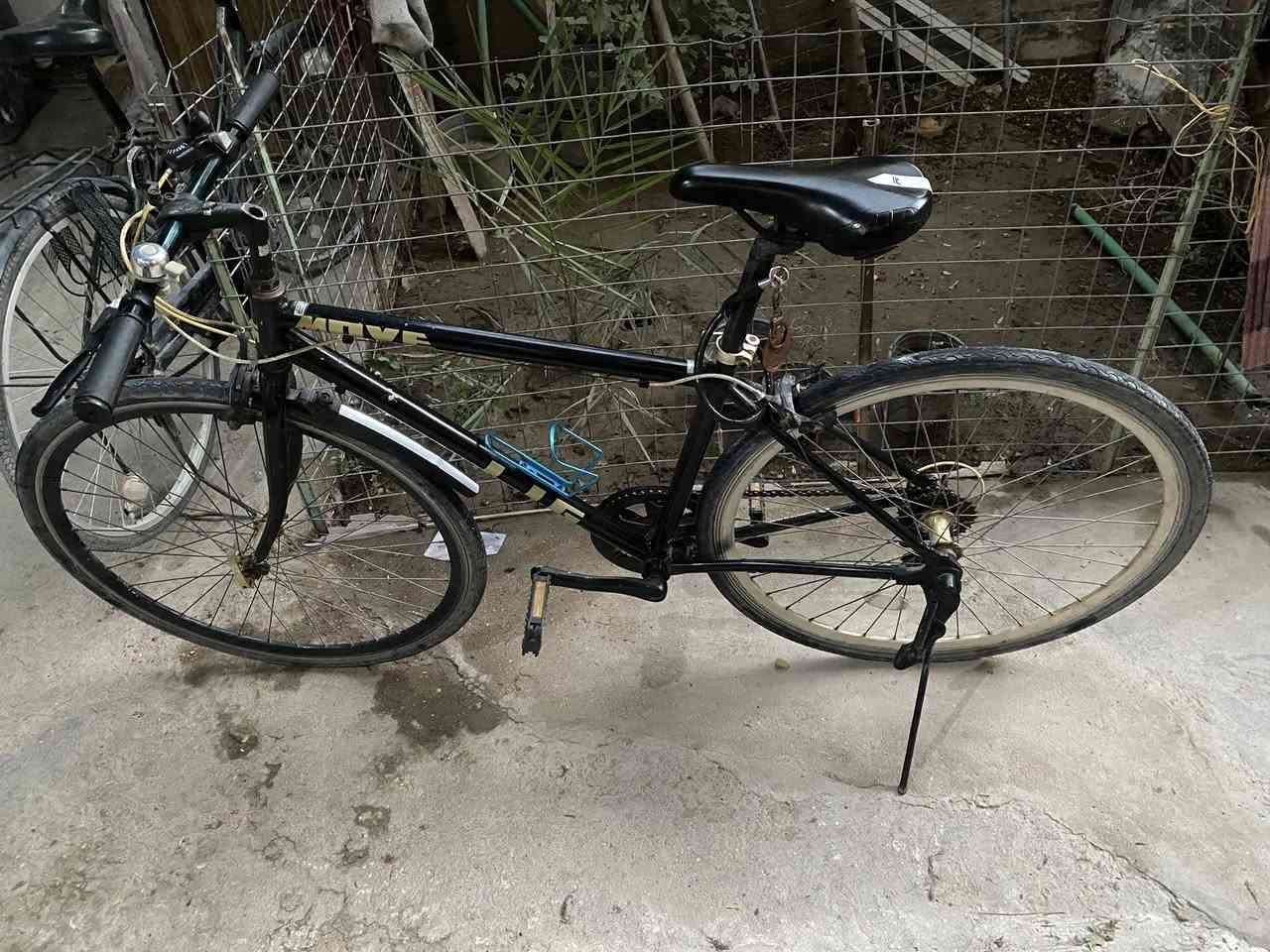 بايسكل c700 ماركة MOVE
120$
الزعفرانية


**إذا كنت صاحب هذا الإعلان وتريد حذفه لأي سبب، رجاءا أرسل رسالة إلى الدعم الفني**