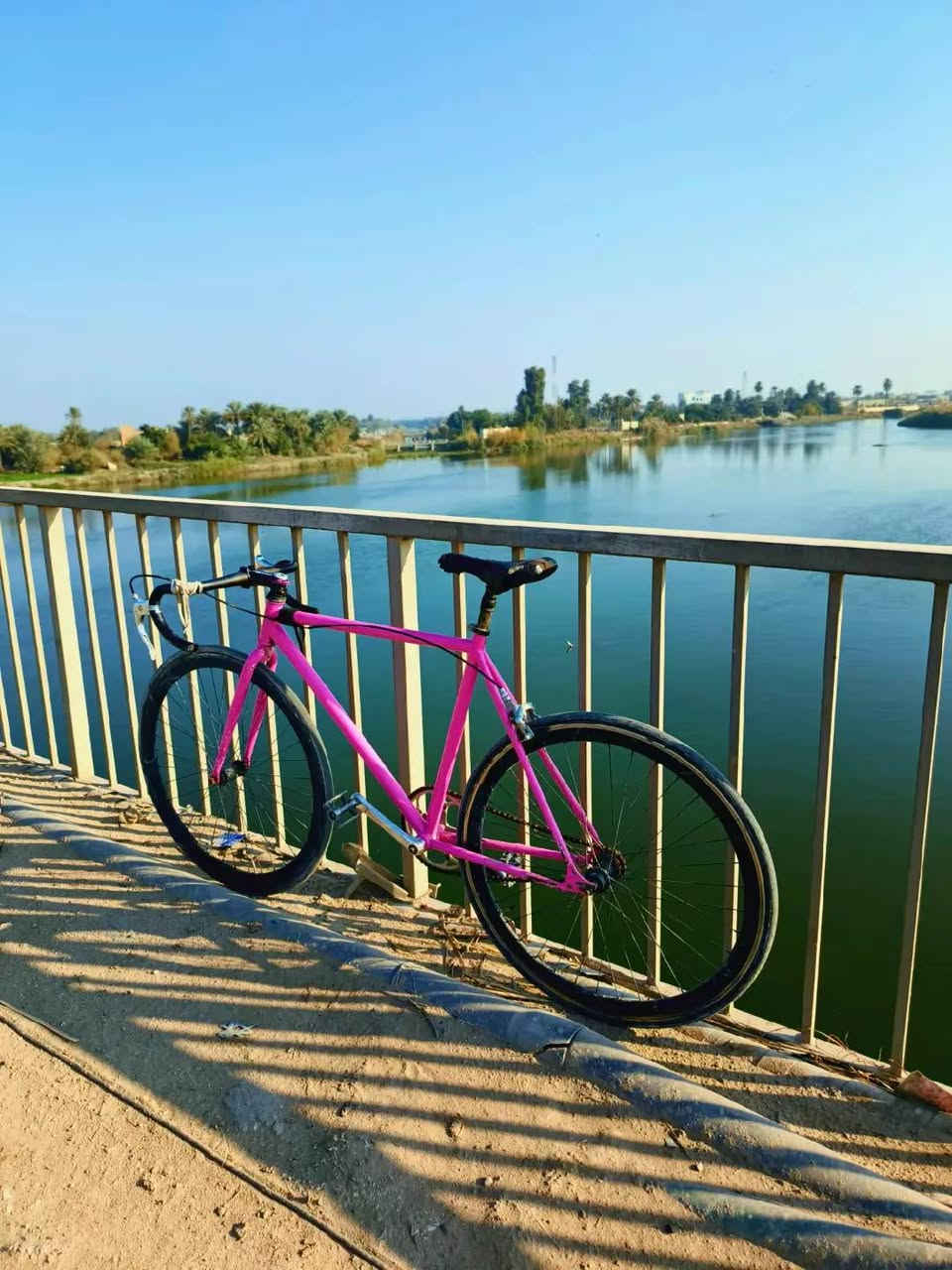 السلام عليكم شباب فكسد صينيه 50-16للبيع الويل الأمامي بي عواج خفيف مكاني كربلاء والبايسكل بغداد بأبو دشير بيش ما جان أبيع لأن عندي سفره وبعد ما احتاجه رقمي ***********
