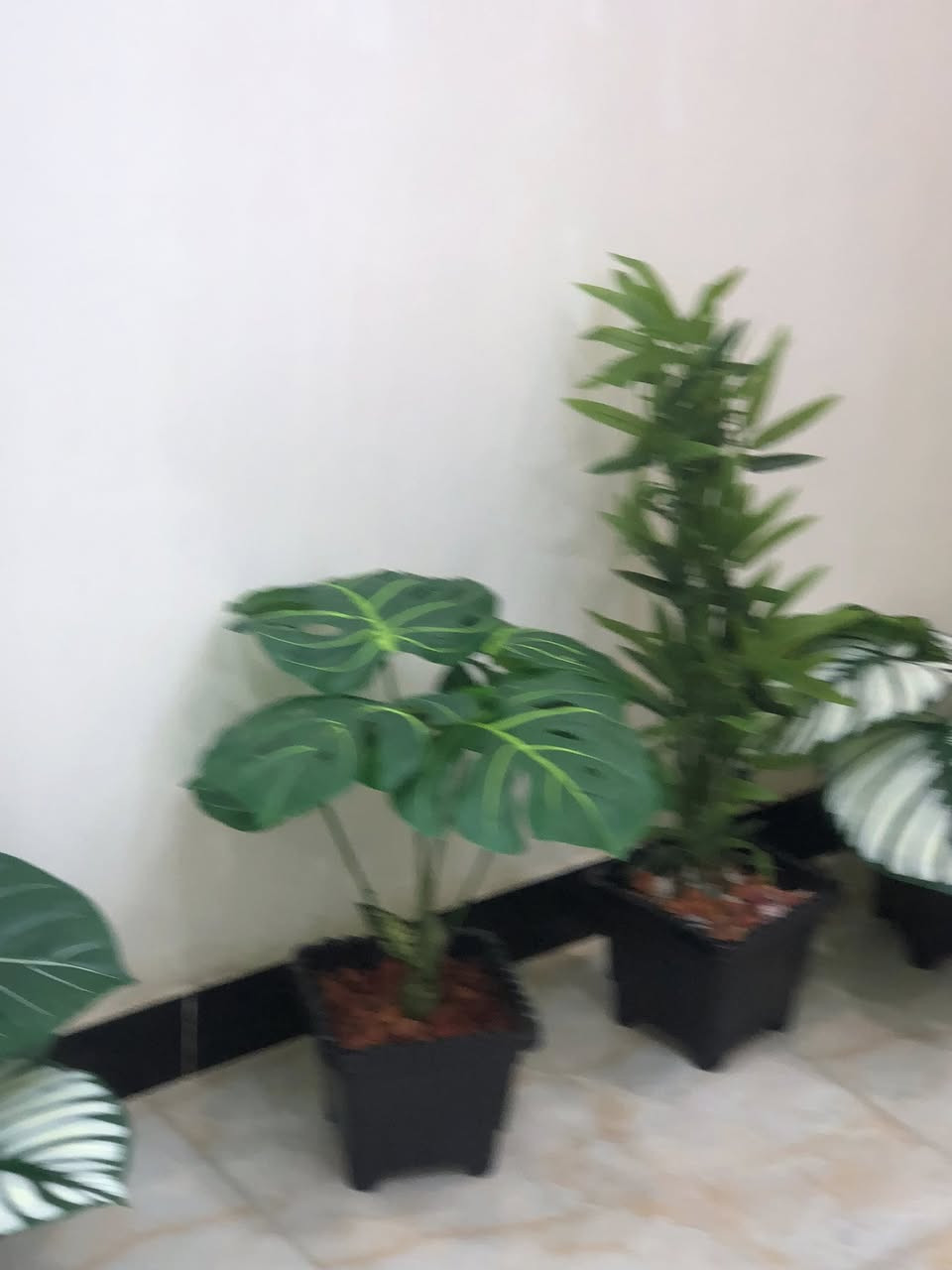 لبيع بغداد الشعب


**إذا كنت صاحب هذا الإعلان وتريد حذفه لأي سبب، رجاءا أرسل رسالة إلى الدعم الفني**